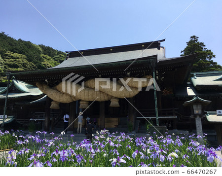 宮武神社本館 宮武神社本館 66470267