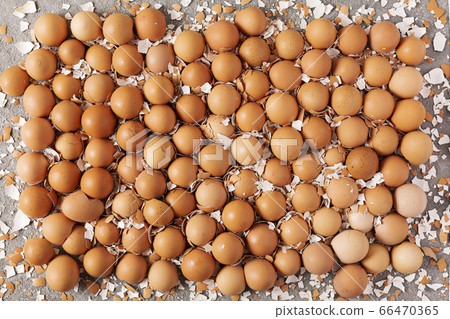 Egg shell texture, background from halves of an egg shell. top view Egg shell texture, background from halves of an egg shell. top view 66470365