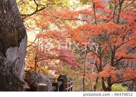 Shosenkyo楓樹走廊 66470652