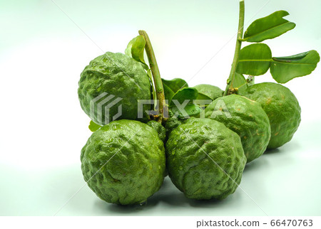 Fresh bergamot fruit with leaf and cut in half of Fresh bergamot fruit with leaf and cut in half of 66470763