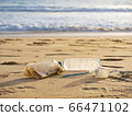 trash on sand beach 66471102