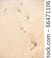 footprint on sandy beach 66471106