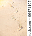 footprint on sandy beach 66471107