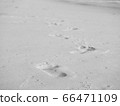 footprint on sandy beach 66471109