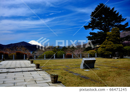 箱根公園(縣立大箱根公園),神奈川縣,箱根町,中央廣場,過道處位於對稱處(3) 箱根公園(縣立大箱根公園),神奈川縣,箱根町,中央廣場,過道處位於對稱處(3) 66471245
