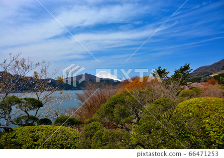 神奈川縣箱根町箱根公園(縣立箱根公園),經過精心設計的植物,從中央廣場可以眺望富士山(1) 神奈川縣箱根町箱根公園(縣立箱根公園),經過精心設計的植物,從中央廣場可以眺望富士山(1) 66471253