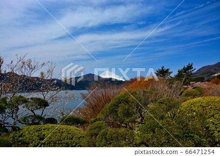 箱根町神奈川縣箱根公園(縣立箱根箱根公園),精心規劃的種植面積,從中央廣場可以欣賞富士山(2) 箱根町神奈川縣箱根公園(縣立箱根箱根公園),精心規劃的種植面積,從中央廣場可以欣賞富士山(2) 66471254