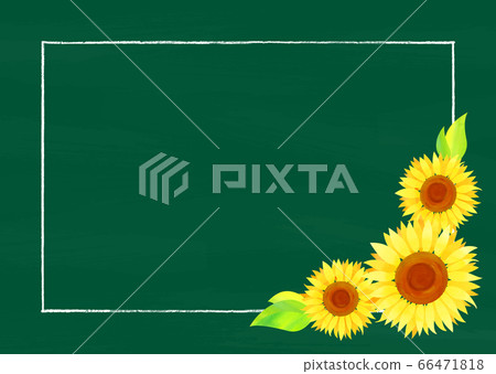 Background material_blackboard and sunflower 66471818
