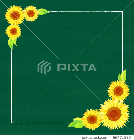 Background material_blackboard and sunflower 66471820