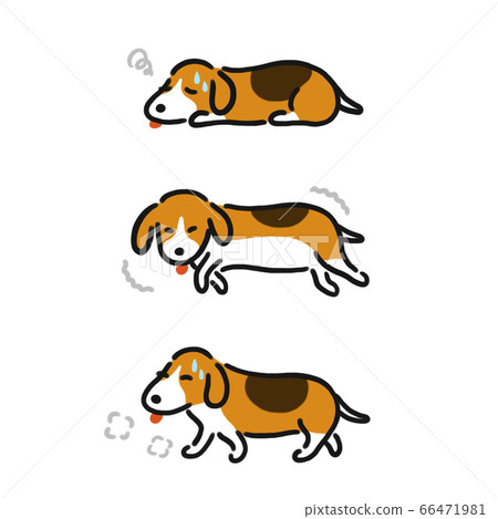 狗比格犬生病 狗比格犬生病 66471981