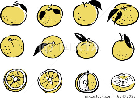Yuzu Yuzu 66472053