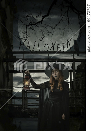 Halloween mystery concept Halloween mystery concept 66472797