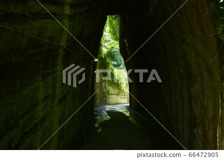 穿過燈籠山坡的隧道 66472905