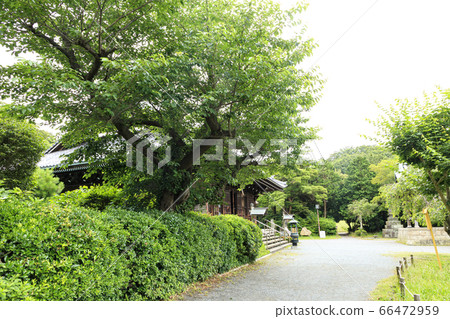 Shomeiji Temple (early summer) Shomeiji Temple (early summer) 66472959
