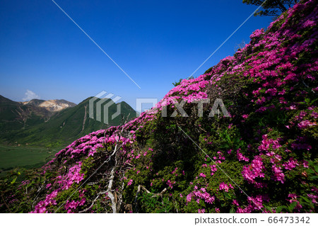 《Kuju Mountain Range in Oita Prefecture》 From the mountain trail of Mt. Heiji, Miyama Kirishima and Mt. Mt. 《Kuju Mountain Range in Oita Prefecture》 From the mountain trail of Mt. Heiji, Miyama Kirishima and Mt. Mt. 66473342