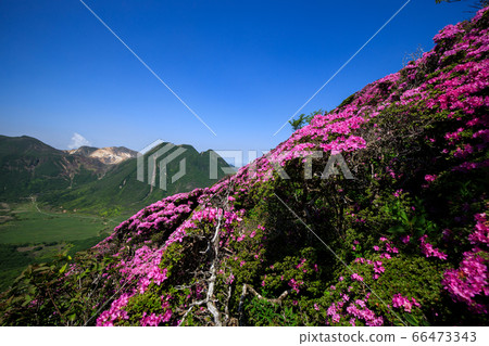 《Kuju Mountain Range in Oita Prefecture》 From the mountain trail of Mt. Heiji, Miyama Kirishima and Mt. Mt. 《Kuju Mountain Range in Oita Prefecture》 From the mountain trail of Mt. Heiji, Miyama Kirishima and Mt. Mt. 66473343