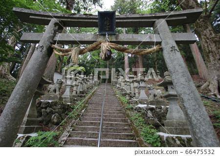 Dorokawa 66475532