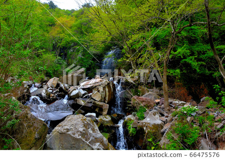 observation龍-,自然探索徑,神奈川縣,箱根町和from牛lower的下部(從觀察區看)(背面為H龍-的下部)(1) observation龍-,自然探索徑,神奈川縣,箱根町和from牛lower的下部(從觀察區看)(背面為H龍-的下部)(1) 66475576