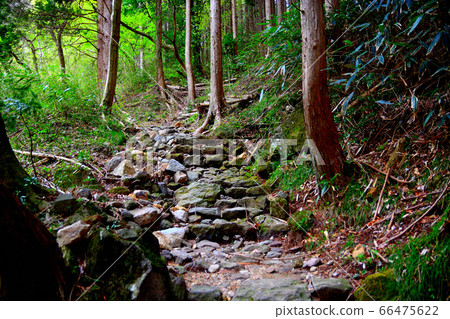 弘之T自然風光，神奈川縣，箱根，弘之T自然風光的石階（1） 66475622