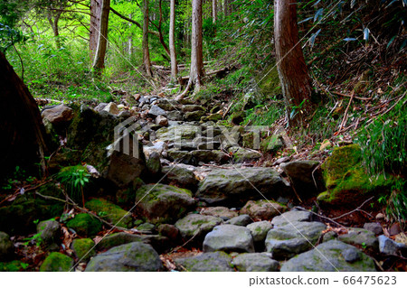 Hiryu-no-taki, nature scenic trail, Kanagawa, Hakone-machi, stone steps (2) 66475623
