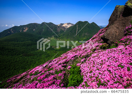 《大分縣九州山》 《大分縣九州山》 66475835