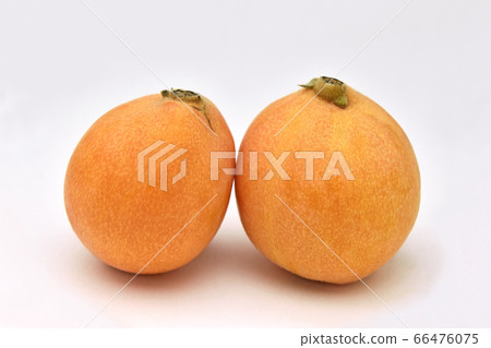 琵琶（摘自Natsuta） 66476075