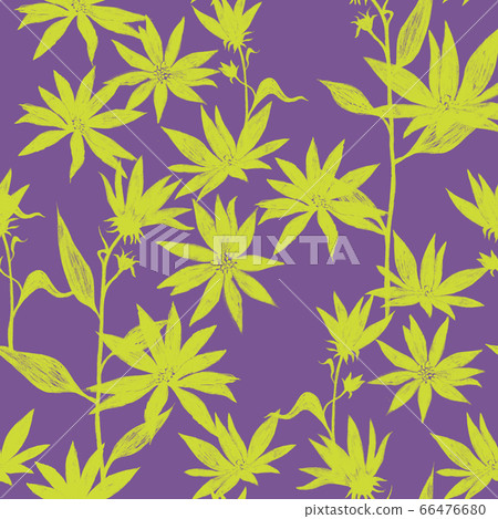 Botanical seamless pattern - Stock Illustration [66476680] - PIXTA