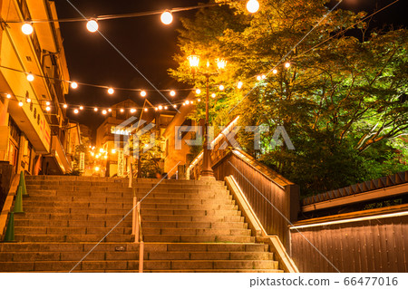 《Gunma Prefecture》Ikaho Onsen/Stairs at night 66477016