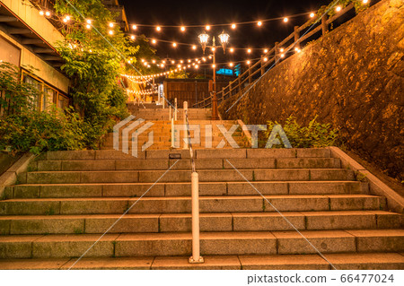 《Gunma Prefecture》Ikaho Onsen/Stairs at night 66477024