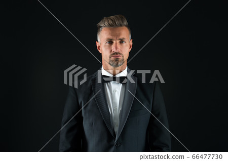 handsome tuxedo man. formal and business fashion. handsome tuxedo man. formal and business fashion. 66477730