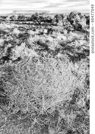 AUSTRALIA,AYERS ROCK-CIRCA AUGUST 2017-mountain in 66477849