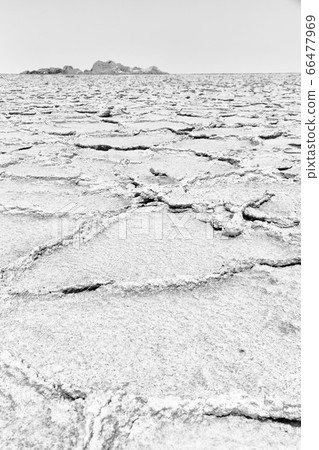 abstract background texture of the desert of 66477969