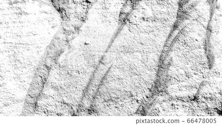abstract background texture of the   rock 66478005