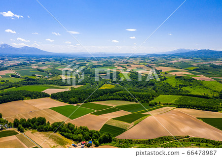 Biei patchwork 66478987