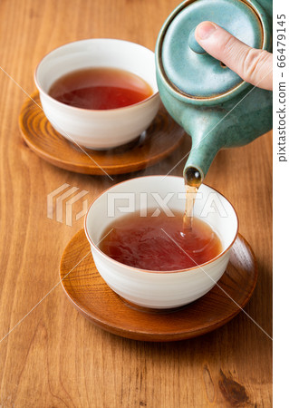 倒hojicha 66479145