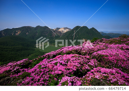 《大分縣九州山》 《大分縣九州山》 66479714