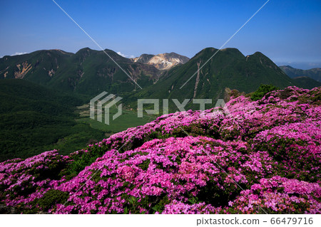 《大分縣九州山》 66479716