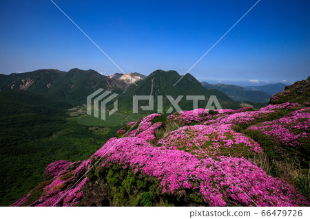 《Kuju Mountains in Oita Prefecture》 Mt. Mt. 《Kuju Mountains in Oita Prefecture》 Mt. Mt. 66479726