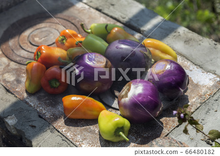 Various baked vegetables cooked on a stove. 66480182