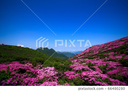 《Kuju Mountain Range in Oita Prefecture》 Miyama Kirishima and Mt. Mt. Mt. 66480280