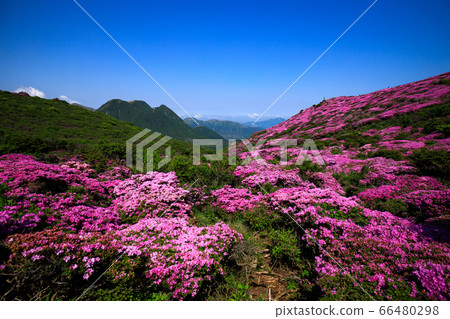 《大分縣九州山脈》宮島美山和山 66480298