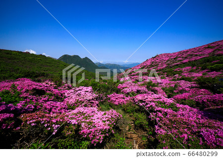 《大分縣九州山脈》宮島美山和山 66480299
