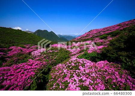 《大分縣九州山脈》宮島美山和山 66480300