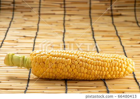 玉米與盲人的夏天圖像。 66480413