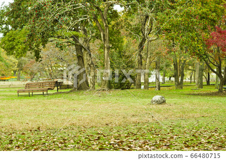 ● Scenery of Expo '70 Commemorative Park in Osaka. 66480715