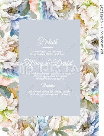 水彩花卉插畫 水彩花卉插畫 66481254