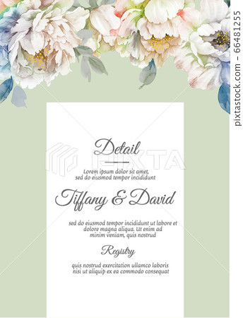 水彩花卉插畫 66481255