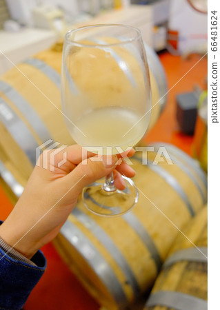 Wine tasting Wine tasting 66481624