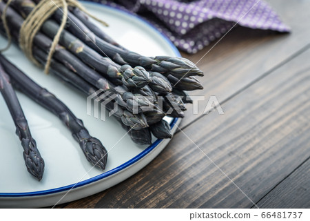 Bunch of  purple Asparagus 66481737