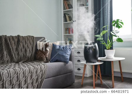 Ultrasonic cool mist humidifier 66481971